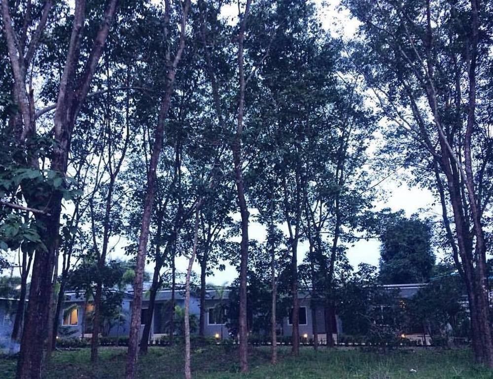 Saiyuan Garden Resort Rawai Dış mekan fotoğraf